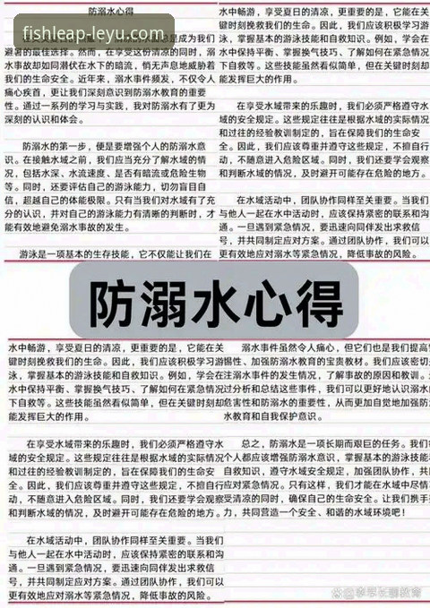 资深用户亲述：乐鱼体育在线直播实战经验与使用心得