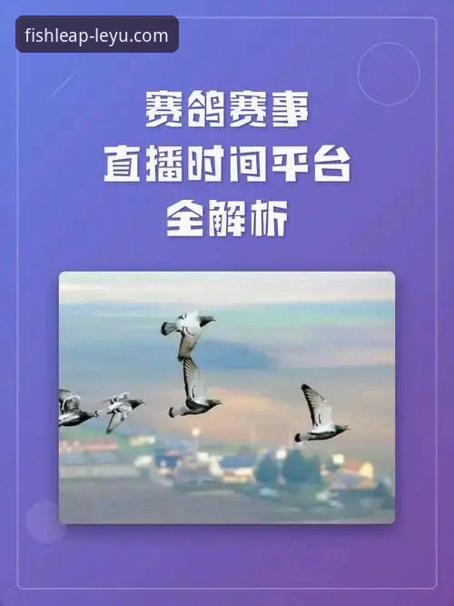 赛事直播平台发展现状与技术解析：乐鱼体育平台如何引领观赛新体验